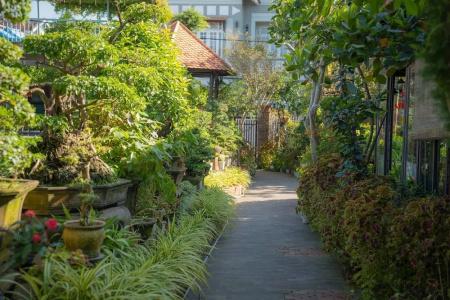 Betel Garden - 113