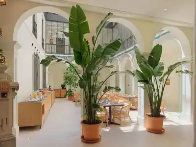 H10 Palacio Colomera - 12