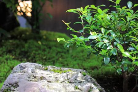 Machiya Oozora - 37