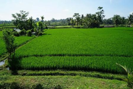 Santun Luxury Private Villas - 102