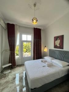 Ada Antik Otel - 47