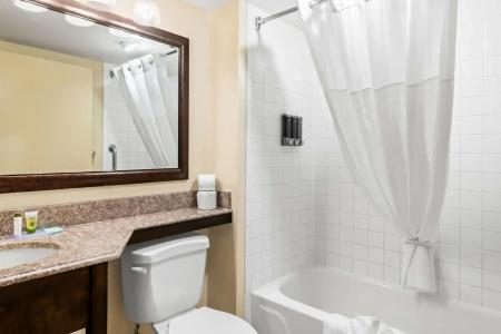 Comfort Inn 290/Nw - 7