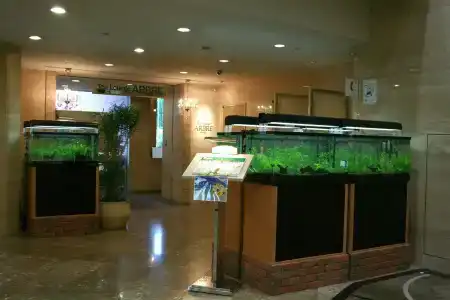 Nagoya Garden Palace - 1