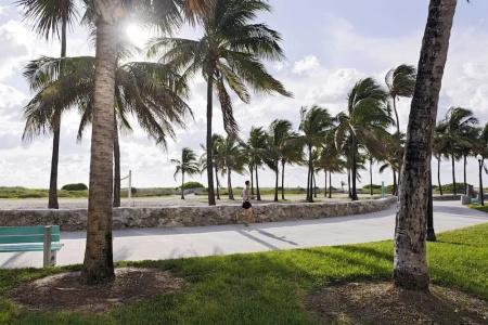 Boulevard - 16