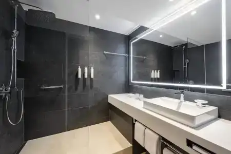 Swissotel Le Plaza Basel City - 66