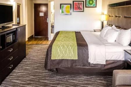 Comfort Inn Downtown Charleston - 42