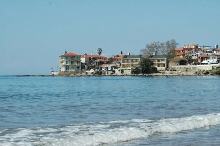 Begonville Apart - 15
