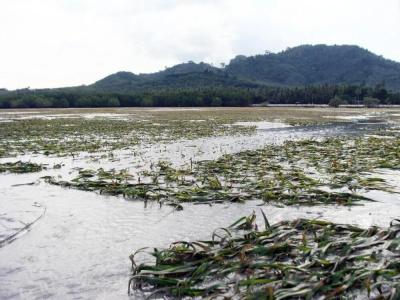 Koh Mook - 18