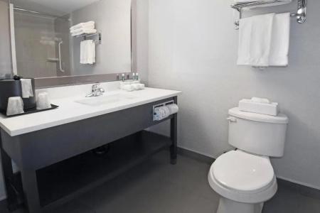Holiday Inn Express and Suites, an IHG - 57