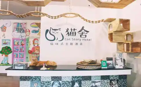Cat Story - 13