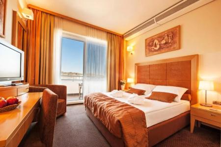 Grand Primus - Terme Ptuj - Savas & Resorts - 48