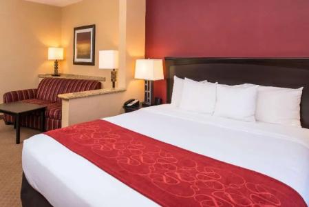 Comfort Suites Airport Convention Center - 41