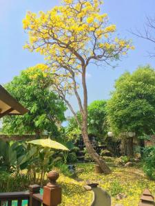 Oriental Siam Resort - Sha Extra Plus Certified - 186