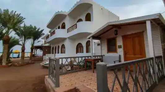 Shams & Dive Centre - 78