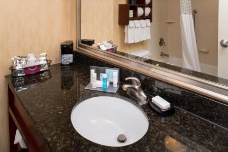 Hampton Inn San Antonio Stone Oak - 8