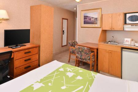 Econo Lodge Village - 73