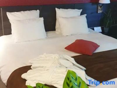 Best Western Alexander Park Chambéry - 43