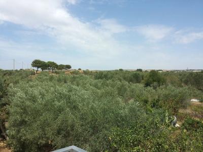 Baglio il Giovinetto - 12