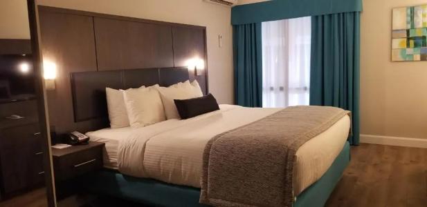 Best Western-Montreal & Conference Centre - 74