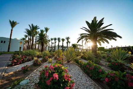 Reef Oasis Beach Resort - 41
