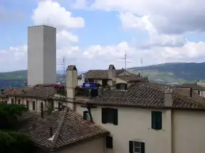 Primavera Mini - 10