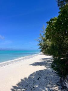 Sazani Beach and Tidal Lounge - 45