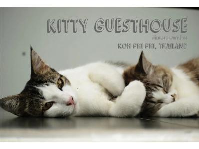 Kitty Guesthouse - 50