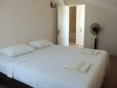 Cam - 2