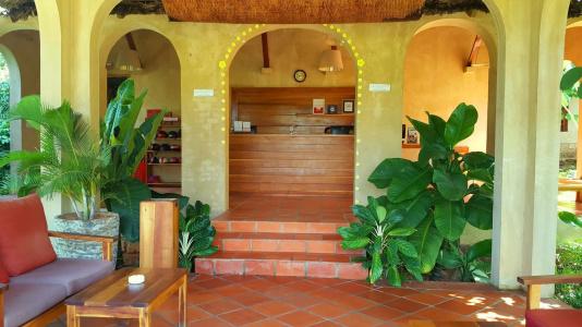 Daisy Resort - 34