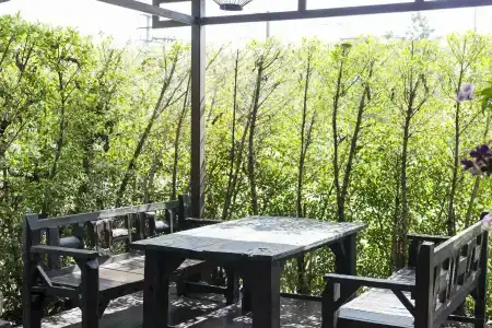 Asias Group (Poonpetch Chiangmai) - 19