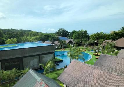 Phi Phi Andaman Legacy Resort-Sha Plus - 10