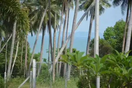 Apple Bungalows - 28