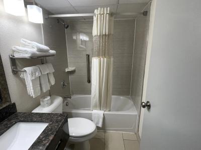 Quality Inn & Suites Downtown - 7