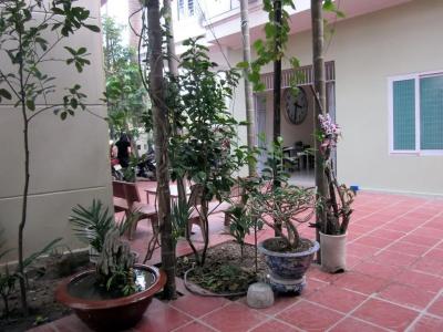 Sen Hai Phong - 23