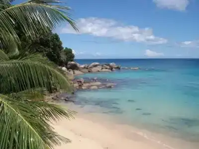 Bliss Boutique Seychelles - 10