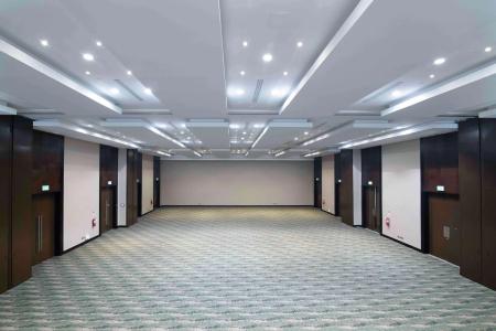 Embassy Suites by Hilton Santo Domingo - 13