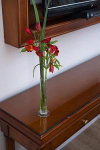 Intersur Recoleta - 44
