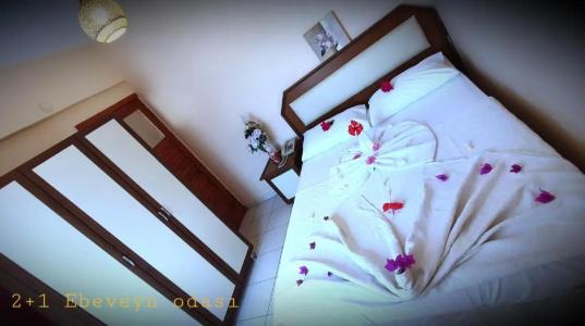Palmen Apart - 26