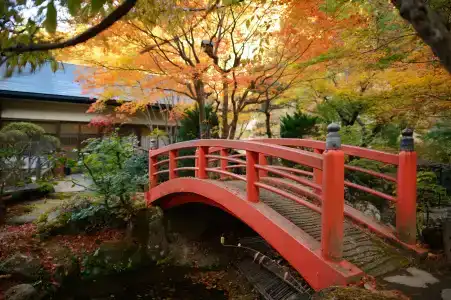 Sansuiso Tsuchiyu Spa - 7