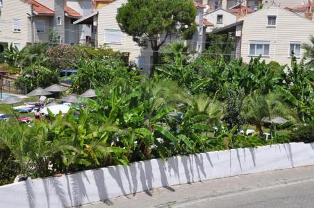 Sayar Apart - 6