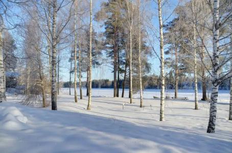 Loma-Rantala Cottages - 6