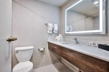 Comfort Inn & Suites South - 45