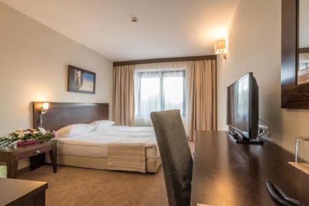 Lion Borovets - 36