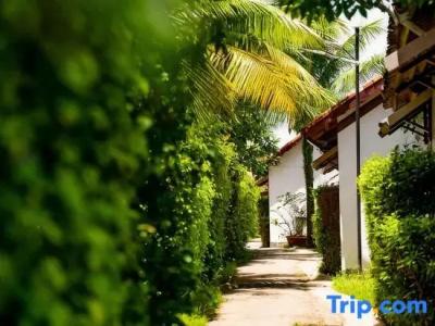 Maison du Vietnam Resort & Spa - 145