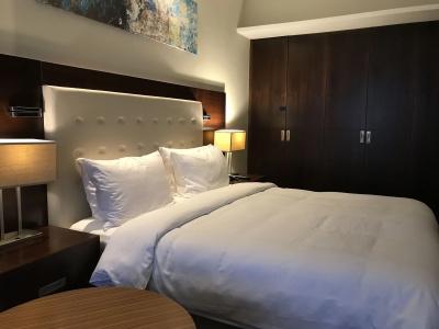DoubleTree by Hilton and Residences Dubai – Al Barsha - 5