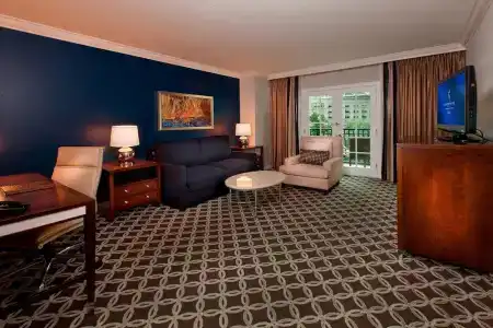 Gaylord Palms Resort & Convention Center - 83