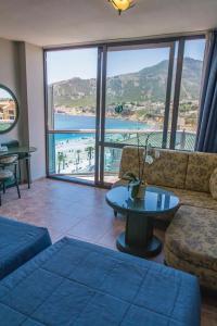 Kaktus Albir - 57