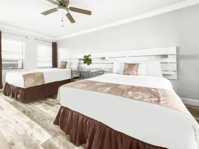 Hollywood Beachs - 137