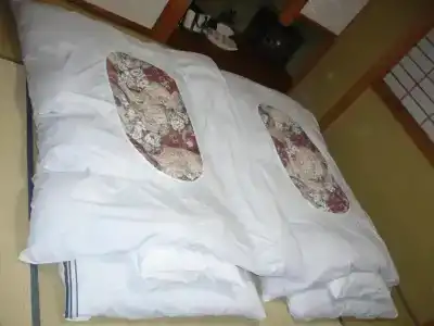 Oyado Nozawaya - 31