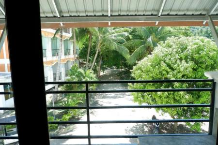 Island Dive Club - 22